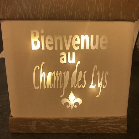 Hotel Le Champ Des Lys Amancey Zewnętrze zdjęcie