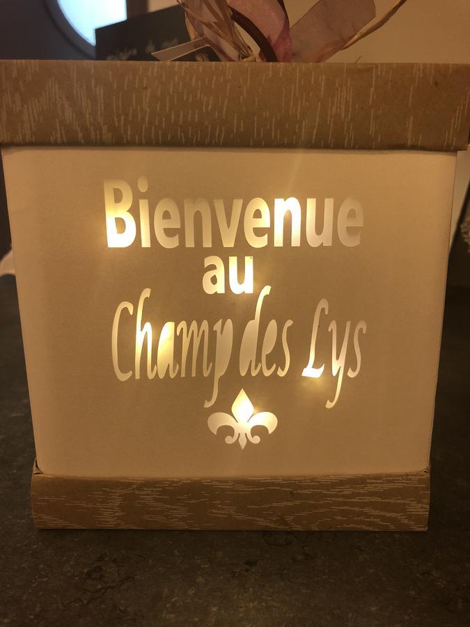 Hotel Le Champ Des Lys Amancey Zewnętrze zdjęcie